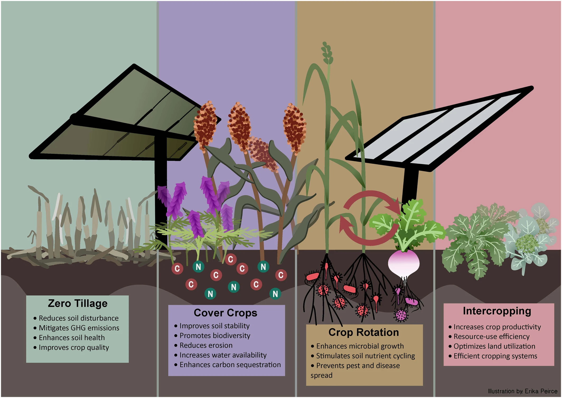 Summary of well-characterized and mechanistic knowledge of conservation agriculture management practices effects on several key sustainability metrics in conventional non-agrivoltaics (AV) systems