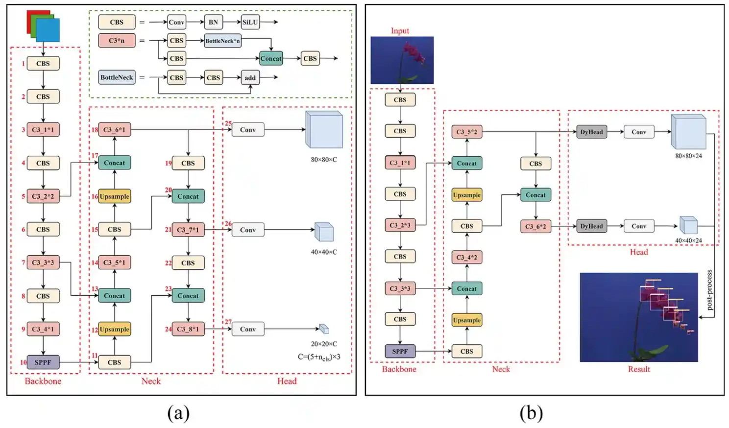 Model structure of YOLOv5s - a, and PA-YOLO - b. Source: Yang et al., 2024