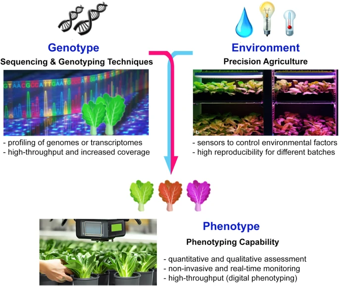 Recent technological advancement for crop breeders. Source: Teo & Yu, 2024