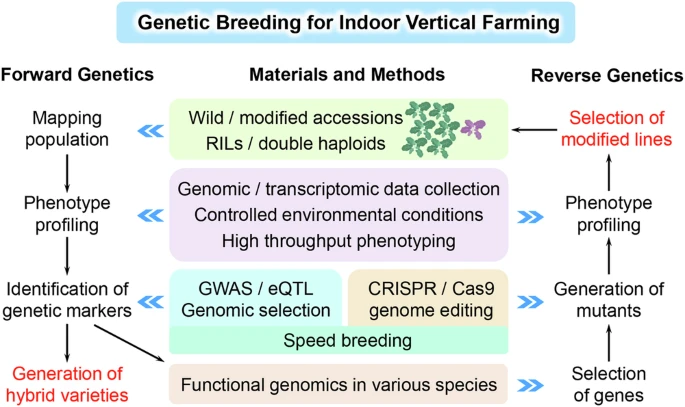 Genetic breeding of indoor farming crops via integrating various genetic and advanced technological tools. Source: Teo & Yu, 2024