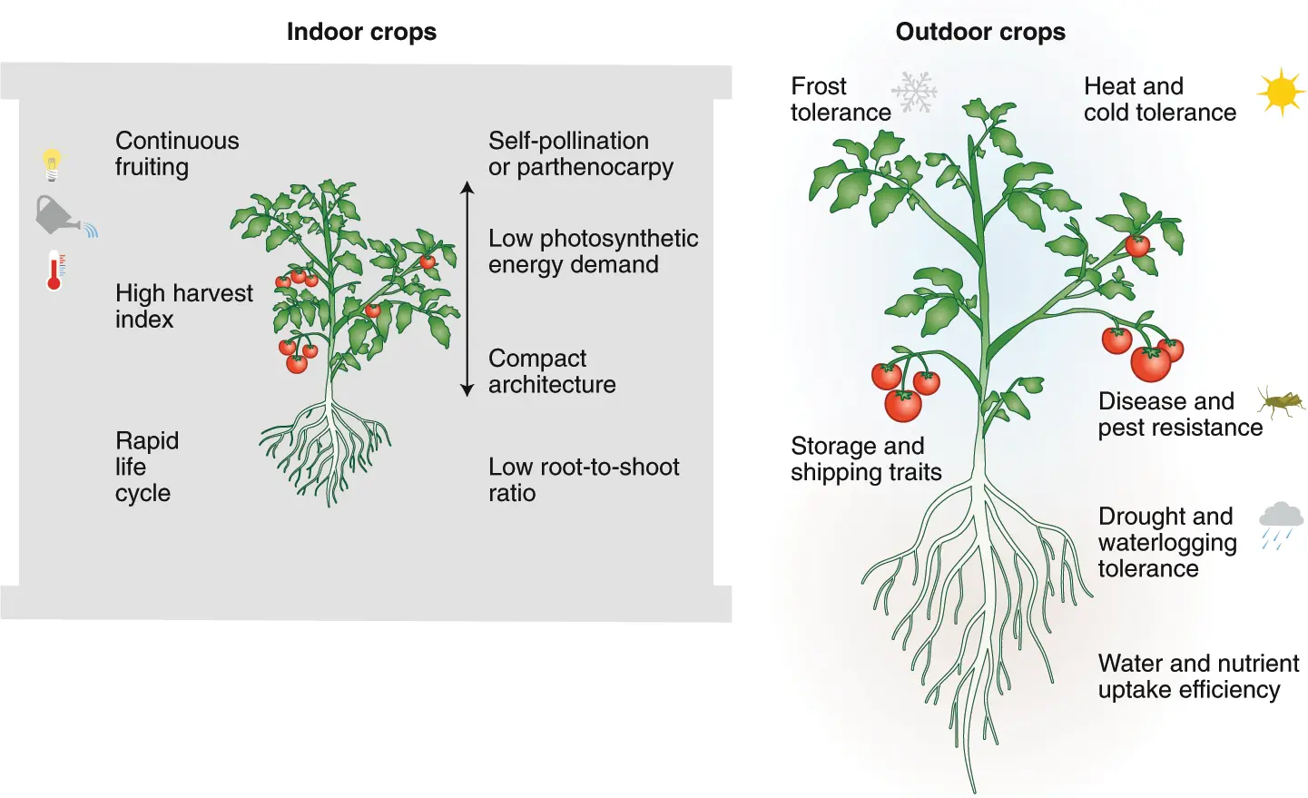 Moving from genetic to environmental modification in vertical farming. Source: Kumar et al., 2020