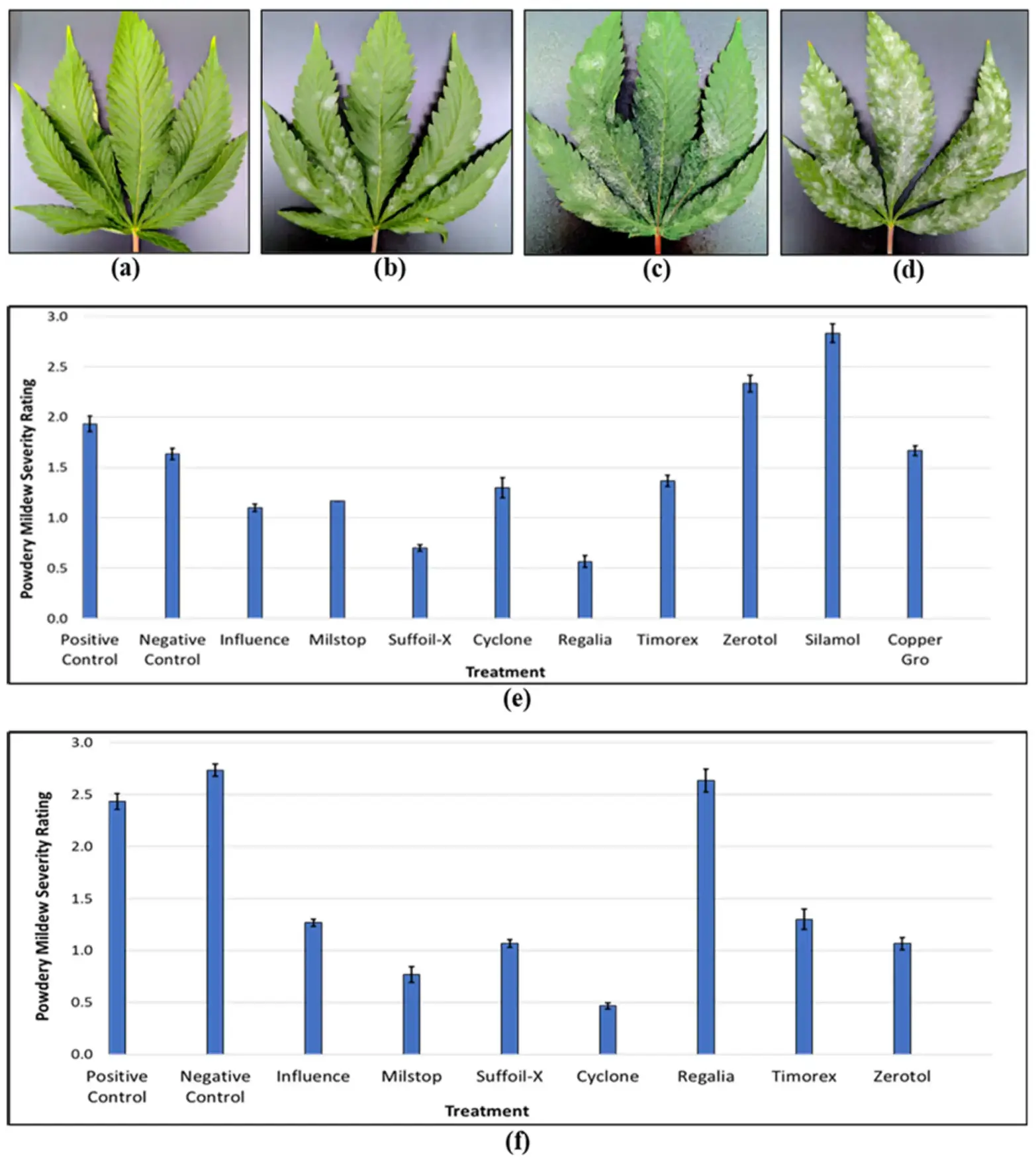 Comparative efficacy of reduced-risk products at managing powdery mildew development on cannabis genotype ‘MP’.