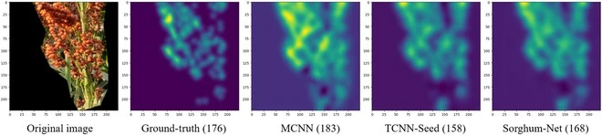 Original image, ground truth, and density map predictions. Source: Santiago et al., 2024