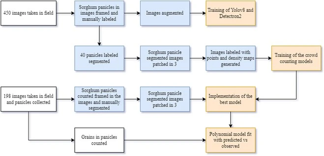 Research diagram of the proposed framework. Source: Santiago et al., 2024