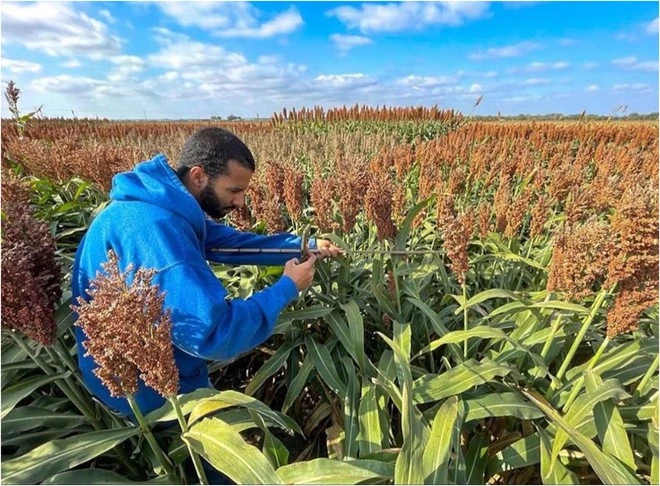 Photograph showing how the pictures were collected under field conditions. Source: Santiago et al., 2024