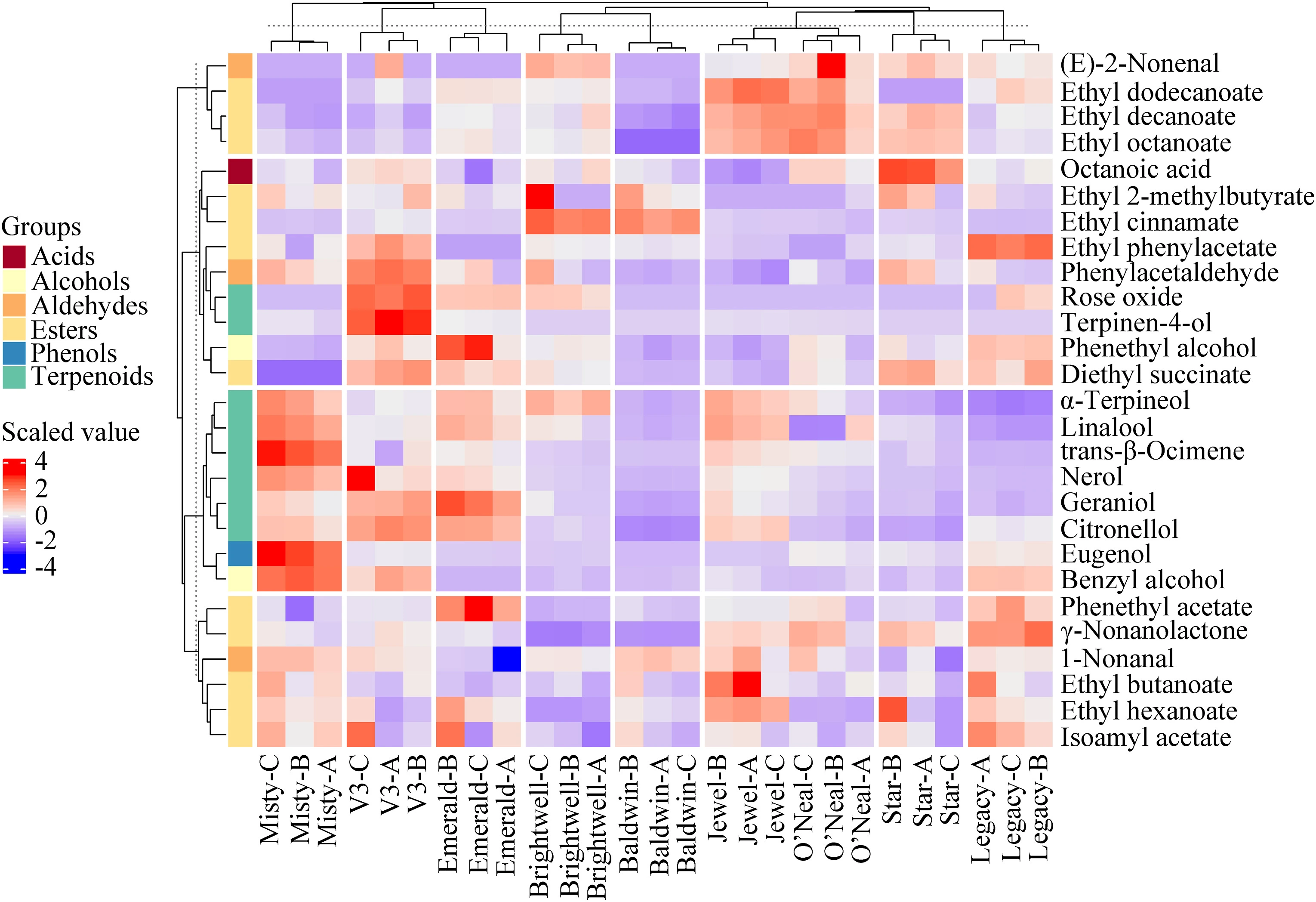 Heatmap analysis based on the concentrations of the volatile compounds with relative odor activity values (rOAVs) higher than 0.1 in blueberry wines from nine cultivars. Source: Wang et al., 2023