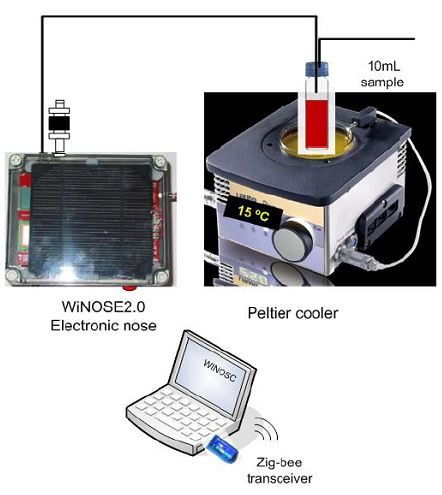 A wireless and portable electronic nose to differentiate musts of different ripeness levels and grape varieties. Source: Aleixandre et al., 2015