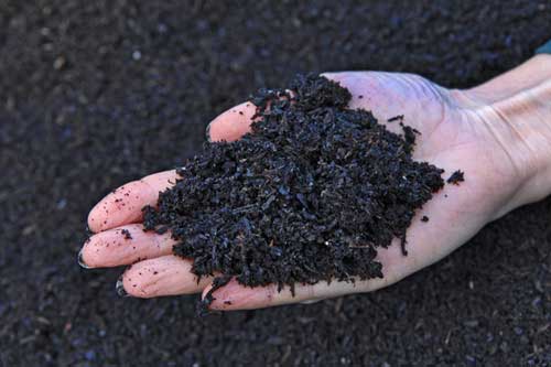 Biochar looks like a charcoal and is made by burning organic material from agricultural and forestry waste