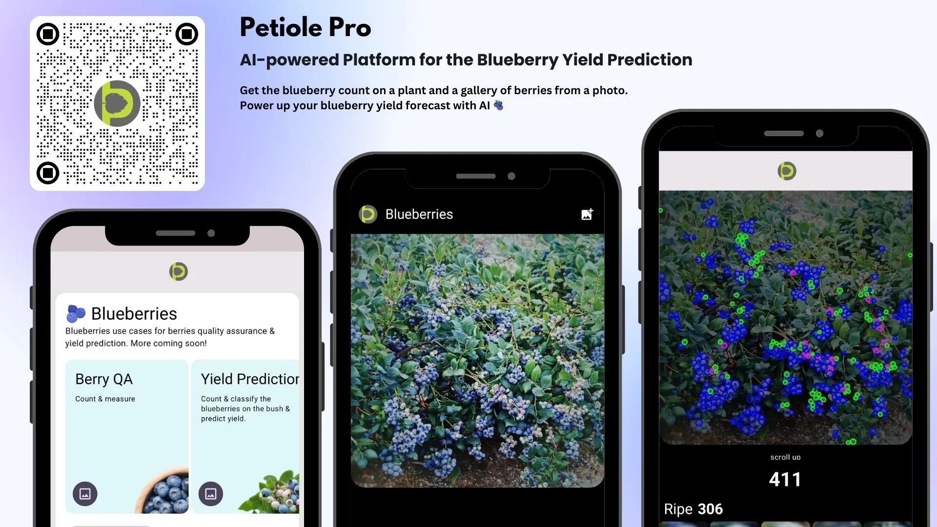 Blueberry AI is one of the core components of Petiole Pro mobile application