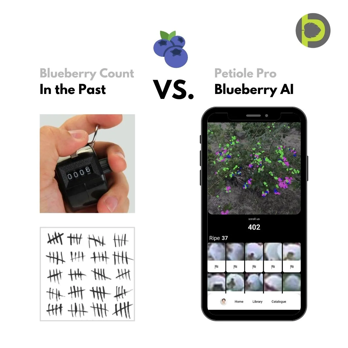 Blueberry count: Past vs. Present Methods