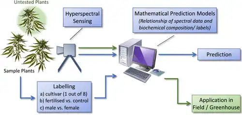 Flowchart of the mathematical modeling process