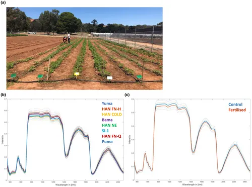 Hyperspectral measurements of dioecious Cannabis sativa L. plants before flowering