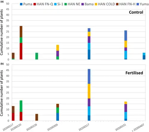 Comparison of flowering time of the eight Cannabis sativa L. cultivars. Numbers of plants per cultivar which flowered at a certain date are represented as stacked bars