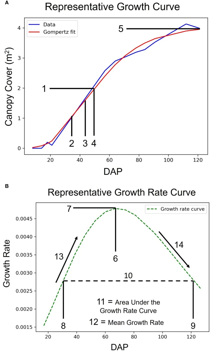 Growth Curves and Latent Phenotype Extraction