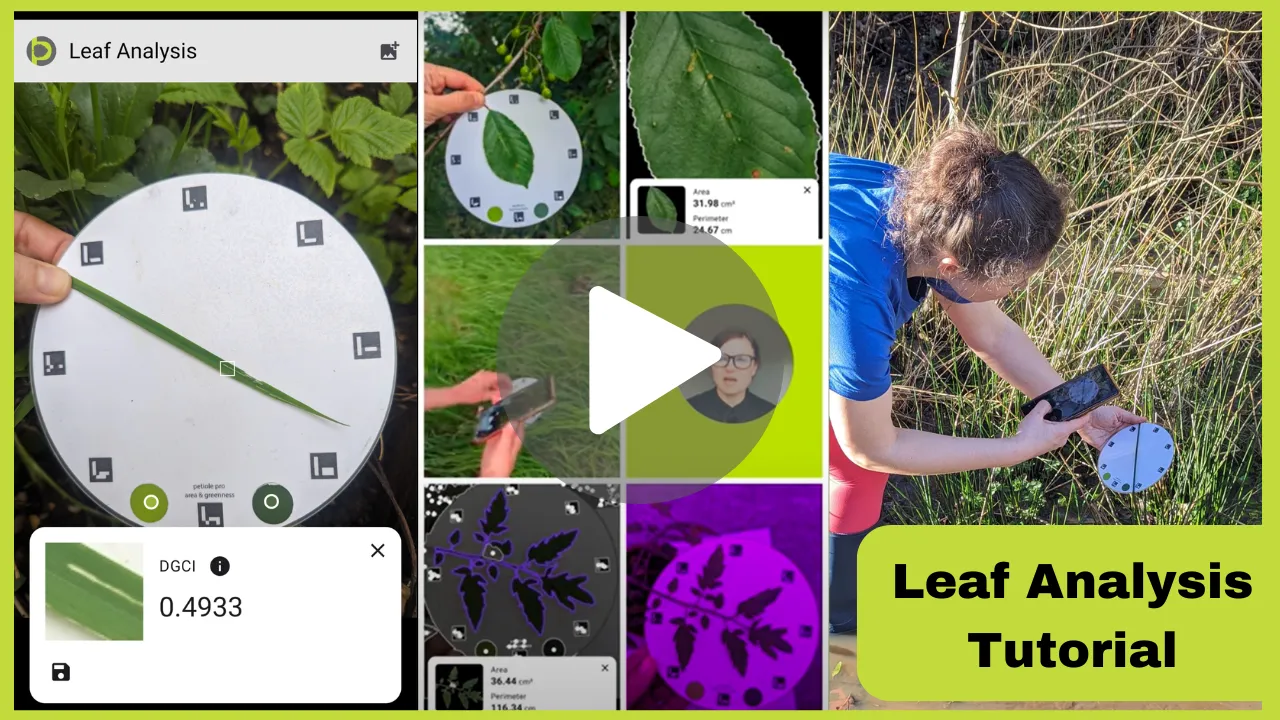 How to measure the Leaf area, leaf greenness and leaf size with the mobile app Petiole Pro - Tutorial