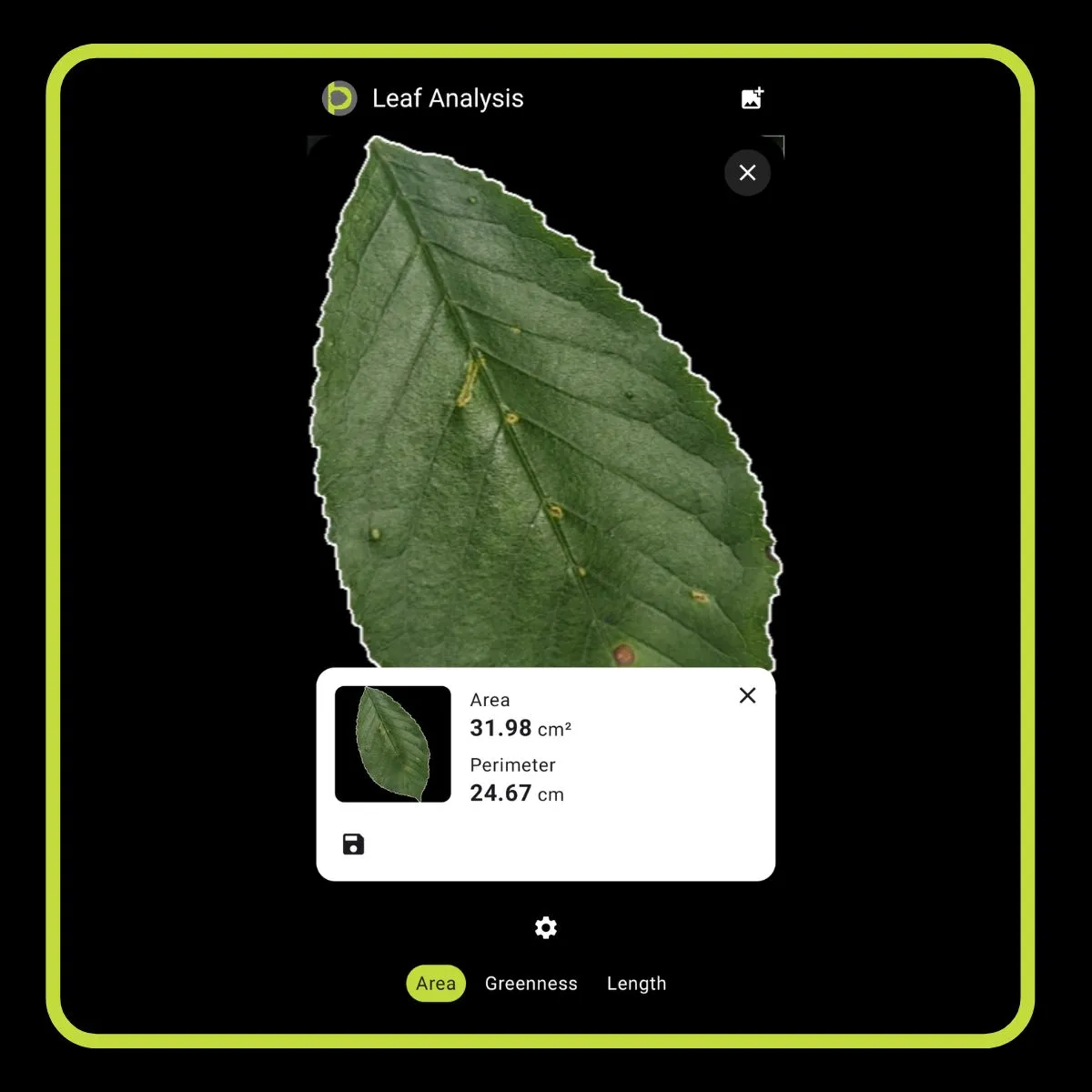 Petiole Pro is a mobile-based platform for leaf area measurement using destructive and non-destructive method