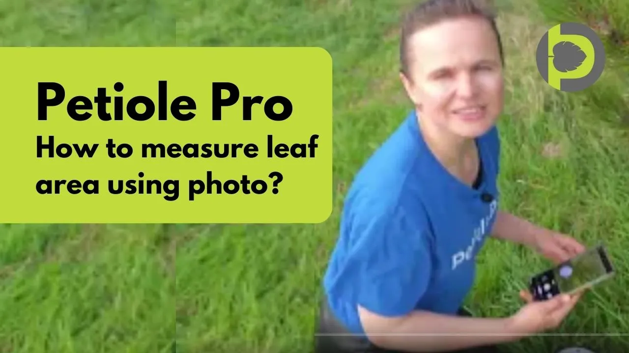 Maximizing Efficiency in Leaf Measurements - Tips for Measuring Leaf Area on Field Trips