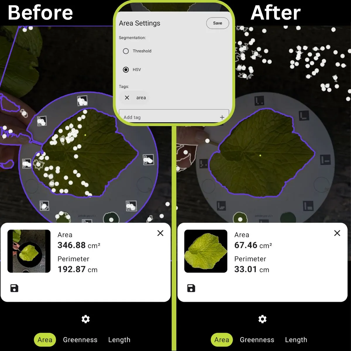 Petiole Pro allows to choose between different segmentation to get the most accurate plant data