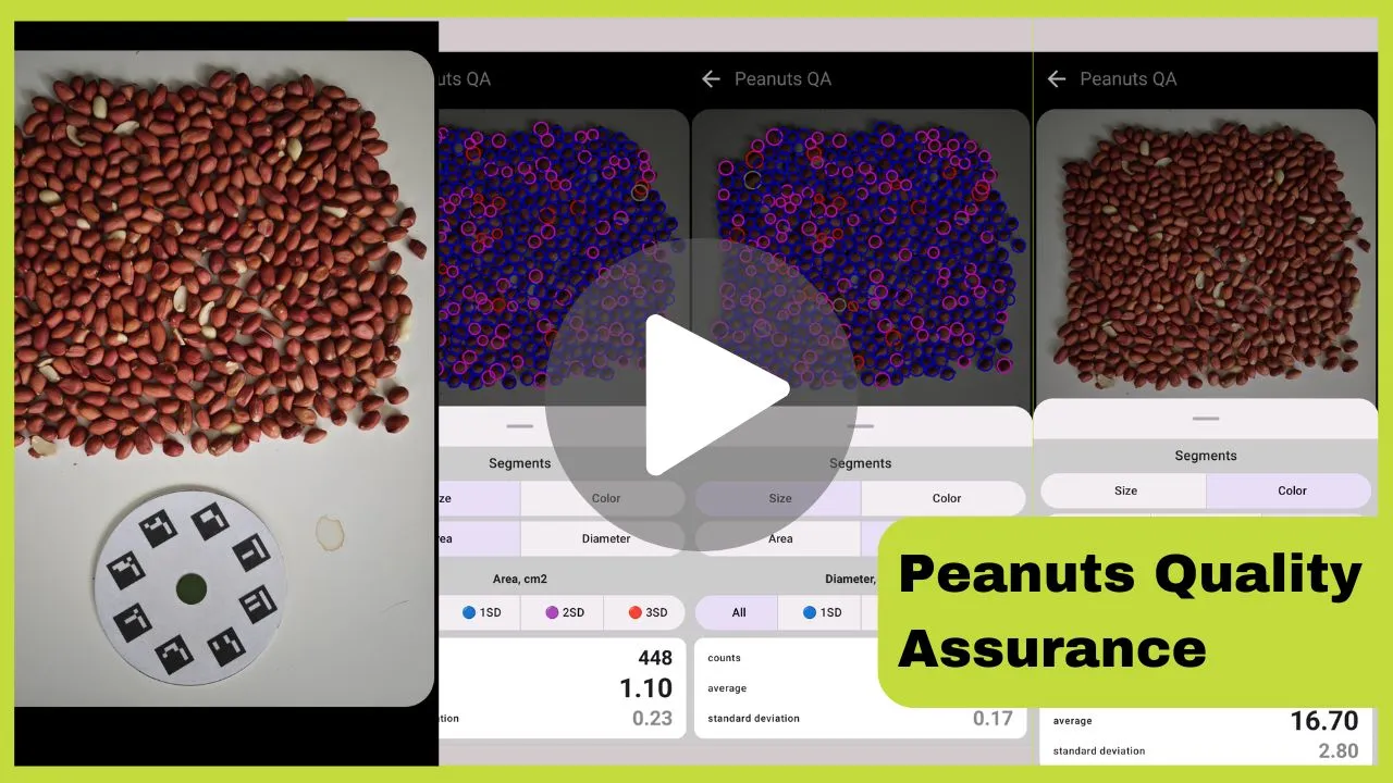 🥜 Peanuts QA from photo with AI and mobile app Petiole Pro🥜