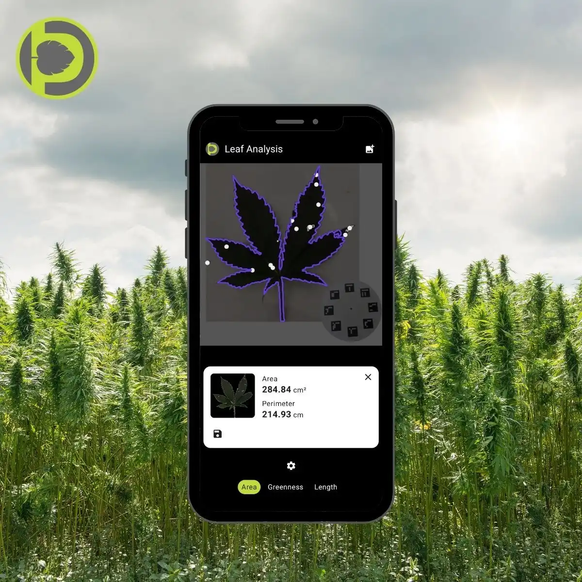 Petiole Pro for Cannabis Leaf Area Measurement