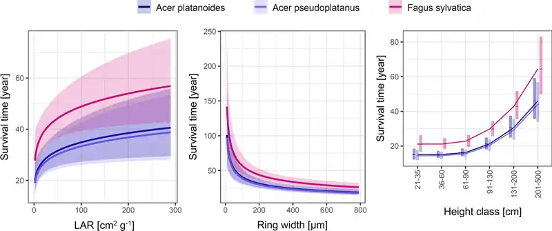 Measurements of leaf area, obtained with Petiole App, were exploited in leaf area ratio (LAR) calculations