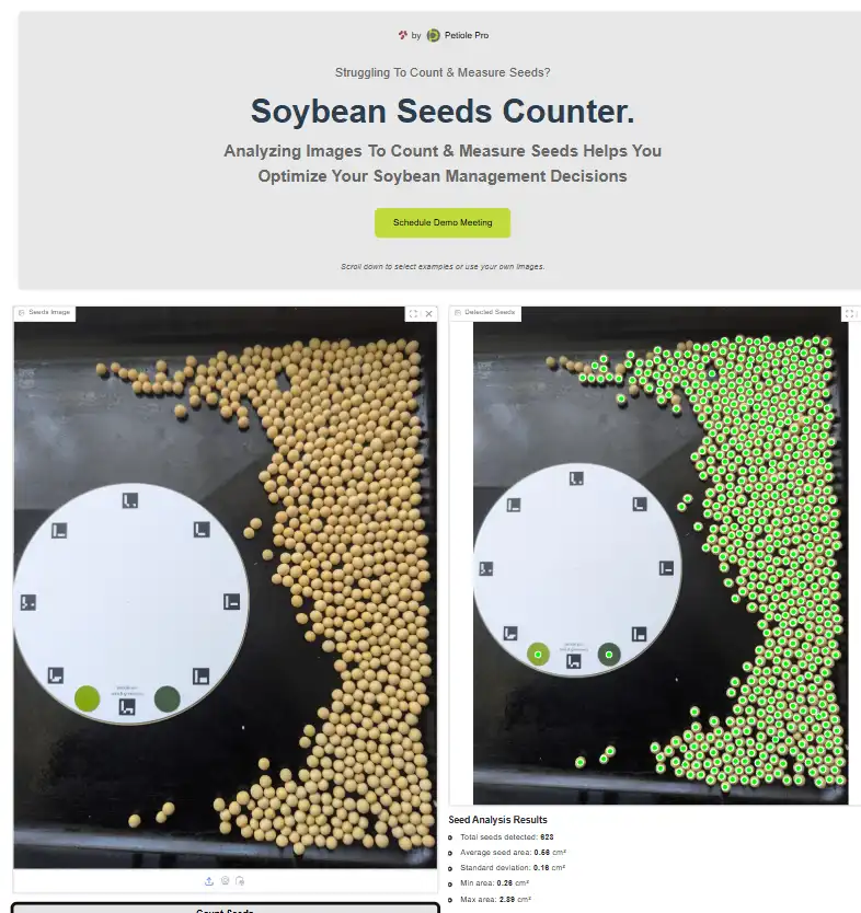 An automatic seed counter can process a high volume of seeds. In the figure above, 603 soybean seeds have been detected. Source: Petiole Pro