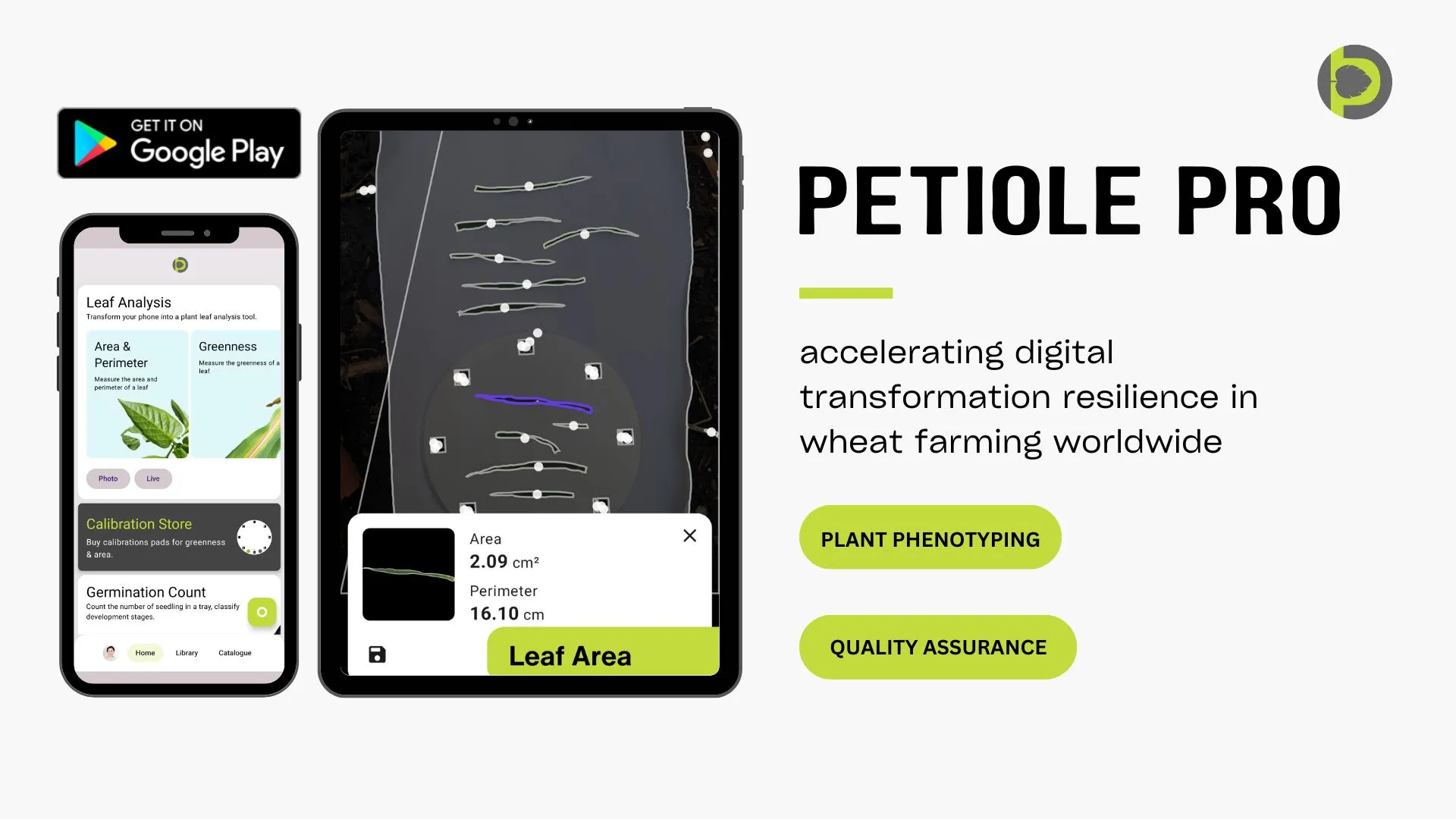 Mobile app Petiole Pro can help with leaf area measurement, greenness assessment, leaf length measurement, grain area measurement, grain length assessment and calculating other parameters for wheat