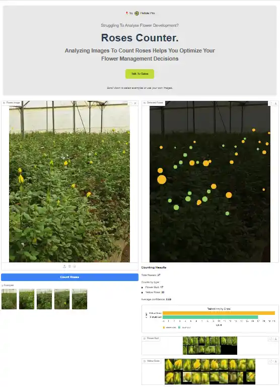 Petiole Pro Roses Counter is currently available for yellow roses but can be adjusted