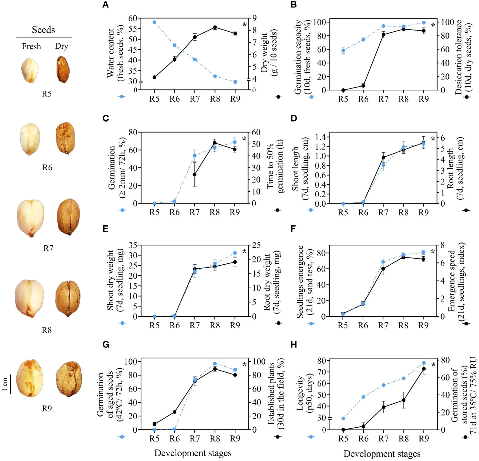 Physiological quality of seeds