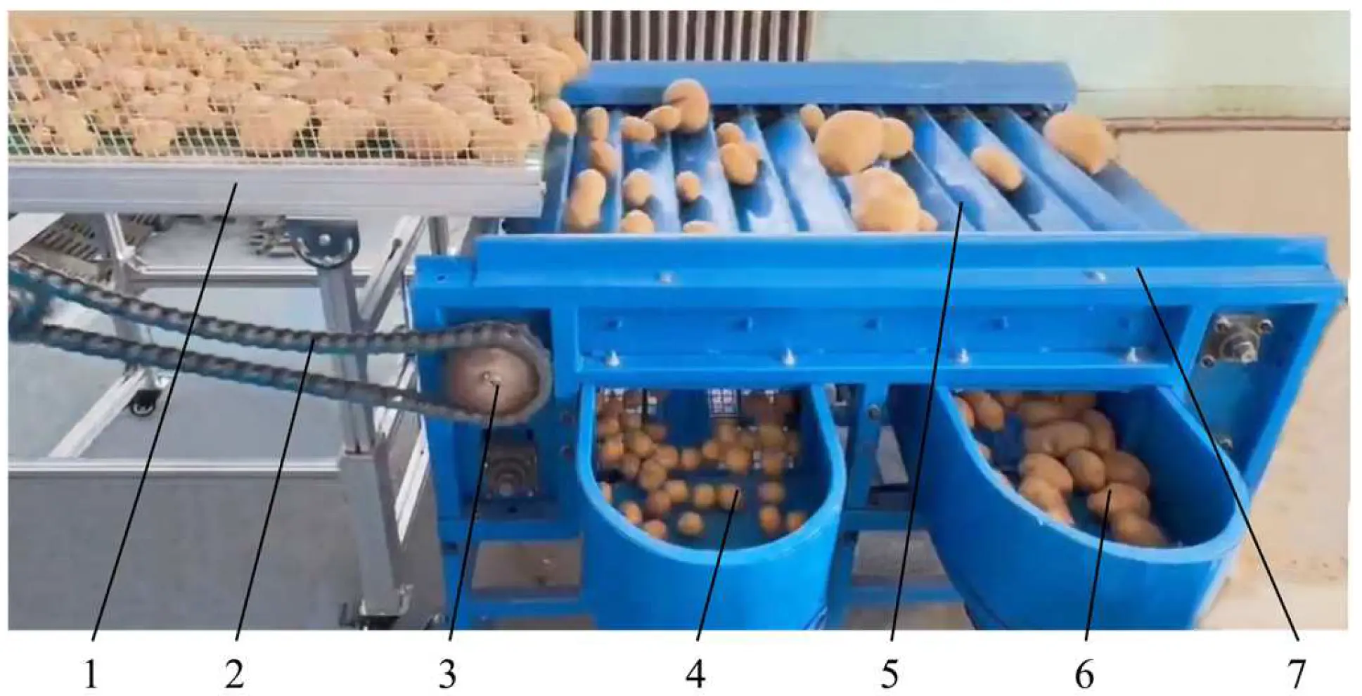 Potato-grading process