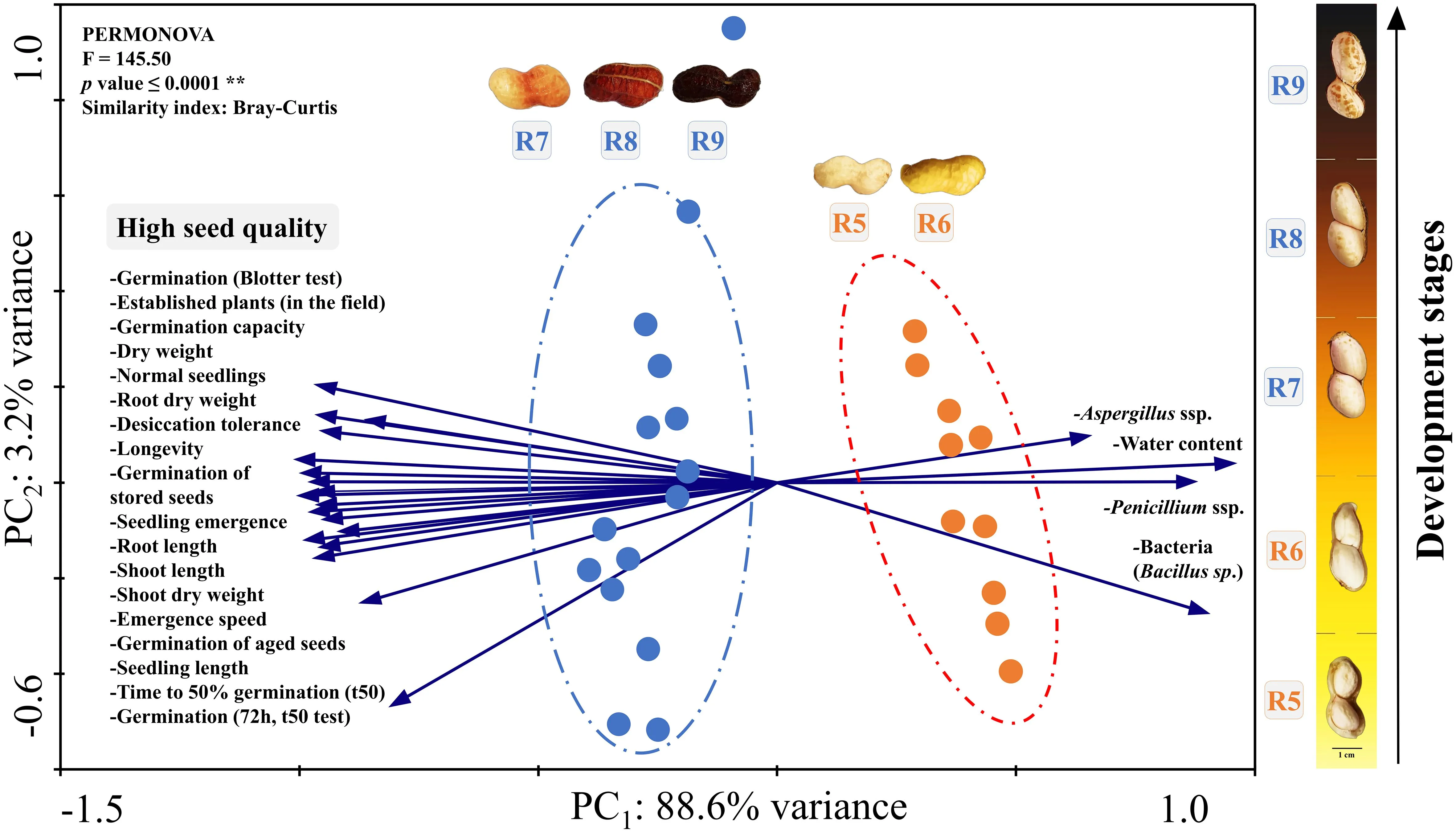 Principal component analysis of seeds