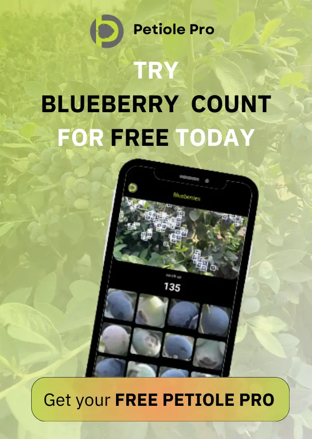 Leaf Area Measurement with Smartphone