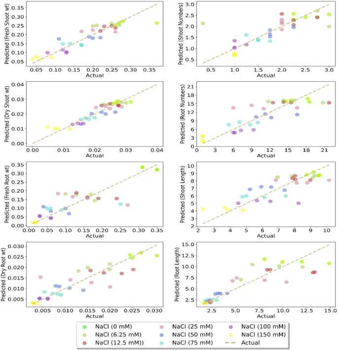 Distribution of predicted values of different growth parameters of chickpea. Photo credit: Atieno et al., 2023