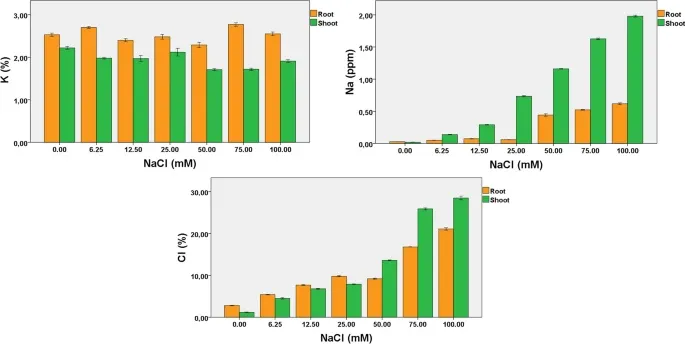 Impact of different NaCl concentrations on element analysis of chickpea. Photo credit: Atieno et al., 2023