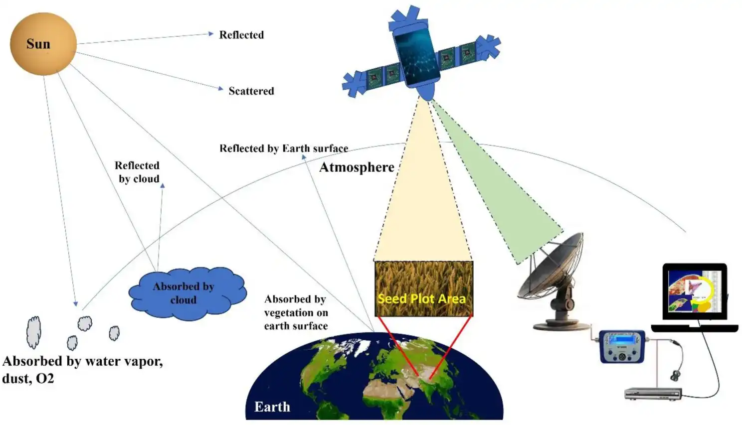 Principle of remote sensing for seed quality assessment