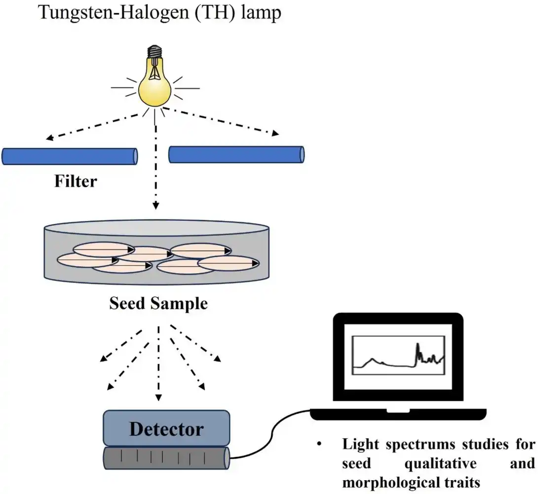 Simplified block diagram for representation of different step NIR spectroscopy