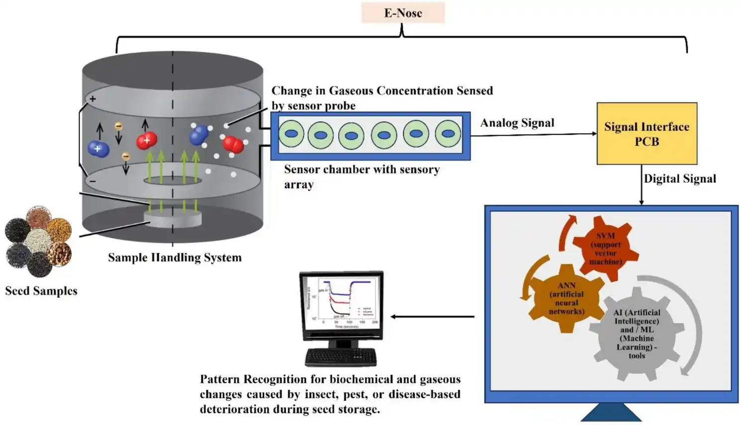 Stepwise representation of non-destructive electric nose (E-nose) system for shelf life evaluation of seeds