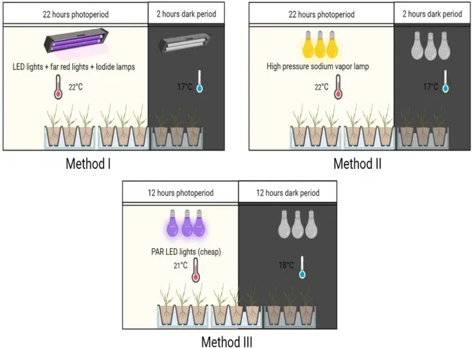 Demonstration of speed breeding in controlled environment (I), glasshouse (II) and homemade low-cost growth room (III) applied on wheat by Watson et al. Source: Nischay Chaudhary & Rubby Sandhu, 2024