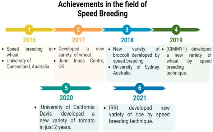 Achievements of speed breeding