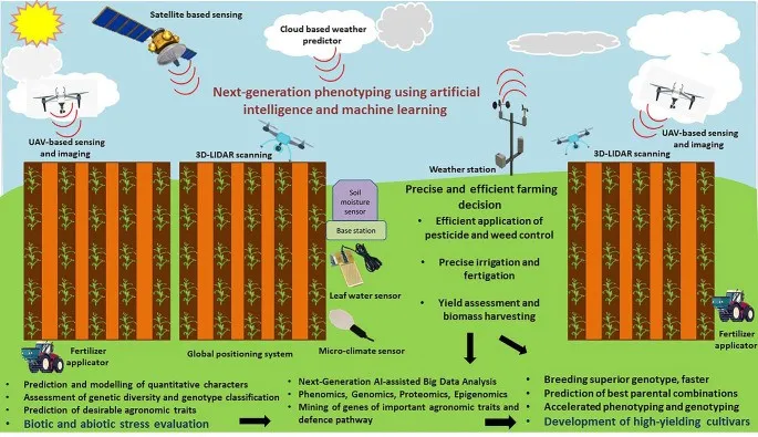 An overview of the potential application of artificial intelligence in augmenting plant breeding technology for easy, precise, and early prediction of genotypes/parental combinations for varietal development. Photo credit: Krishna Kumar Rai, 2024