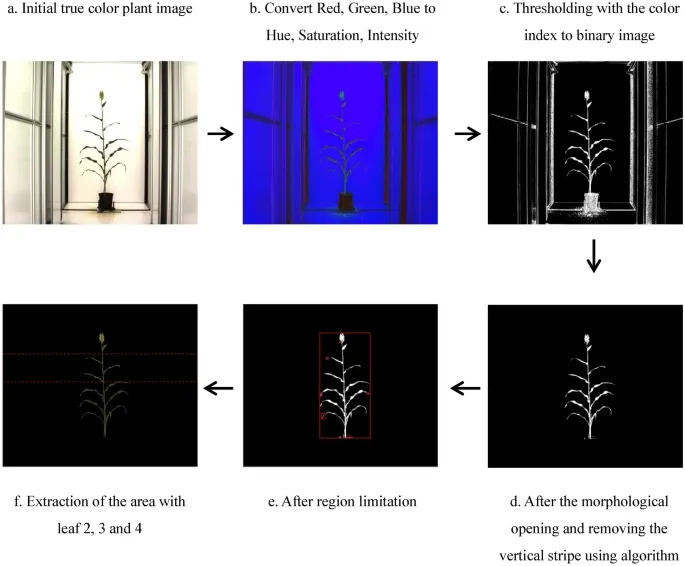 The sequential steps in segmentation of plant pixels from the background. Source: Zhang et al., 2022