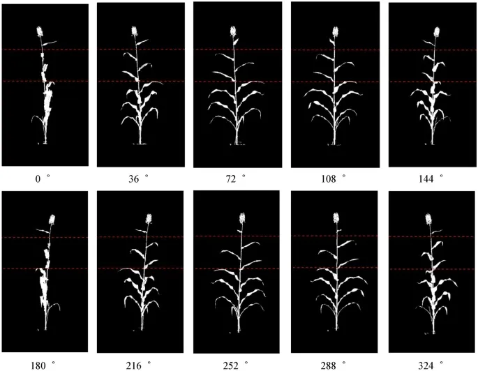 Ten different binary images converted from RGB from 0 to 360 degree. Source: Zhang et al. Source: Zhang et al., 2022