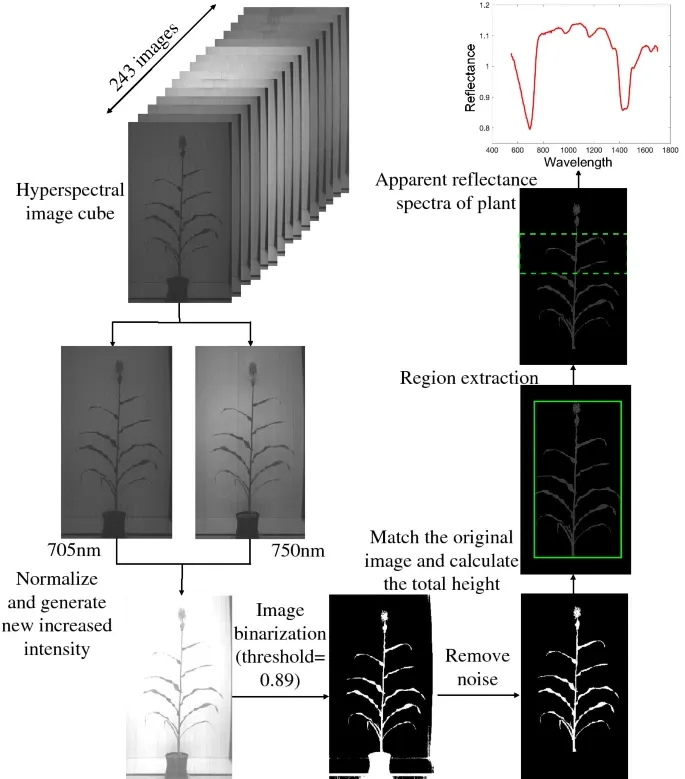 Flowchart showing the steps in hyperspectral image analysis to obtain apparent reflectance spectra. Source: Zhang et al. Source: Zhang et al., 2022