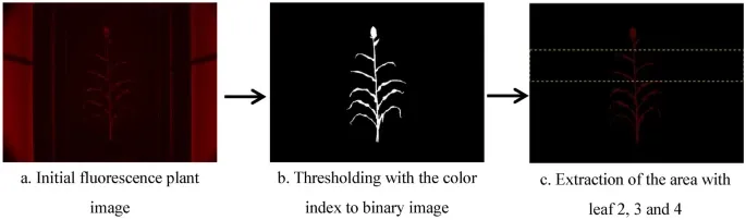 Process flow of image processing steps used in the extraction of plant’s projected chlorophyll content from the fluorescence images. Source: Zhang et al., 2022