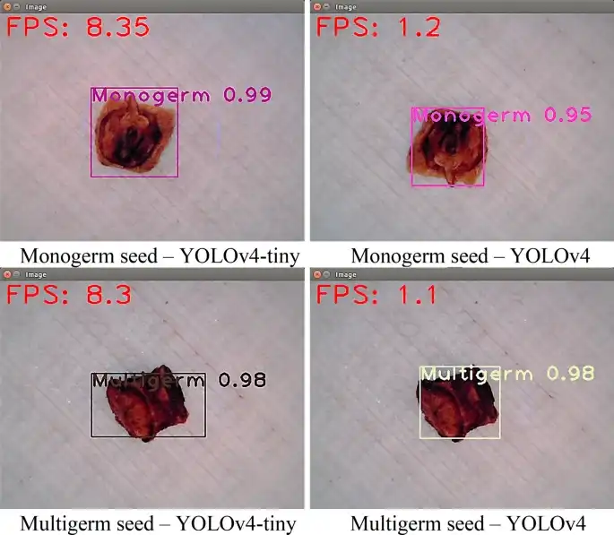 Accuracy and FPS samples of sugar beet seeds detection with YOLOv4 and YOLOv4-tiny models at Jetson Nano. Source: Beyaz and Saripinar, 2024