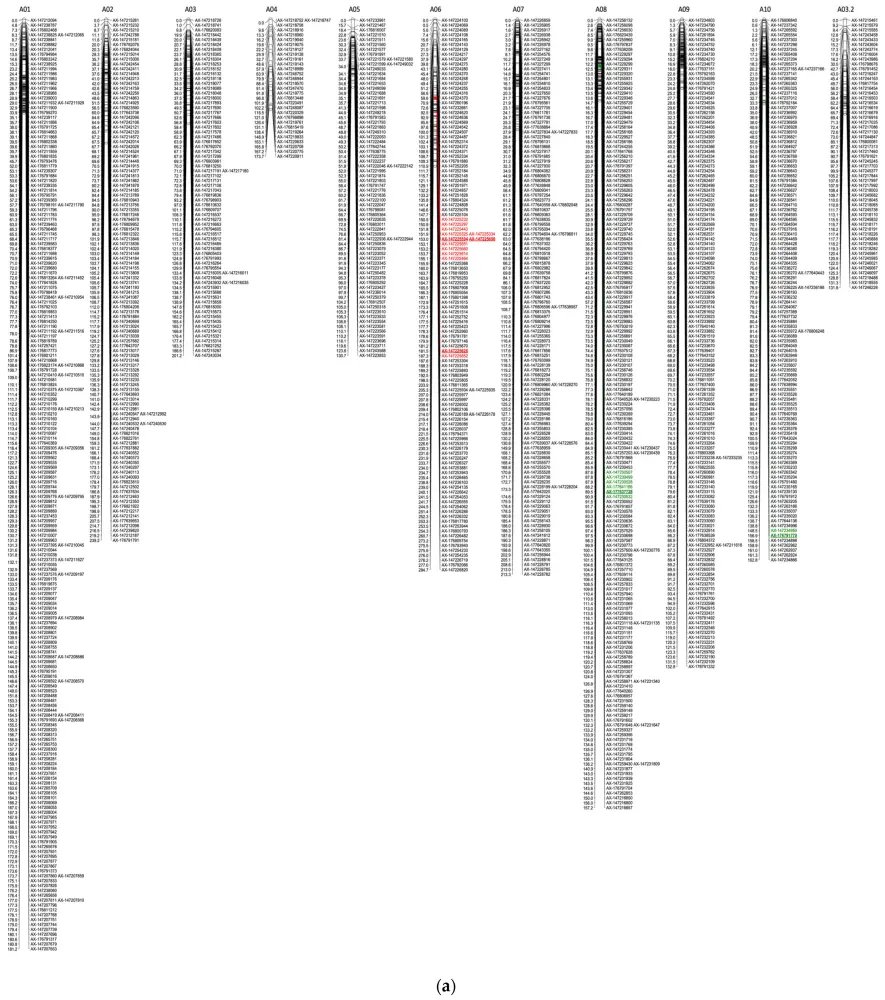 The genetic linkage map constructed from a population with 321 F2s