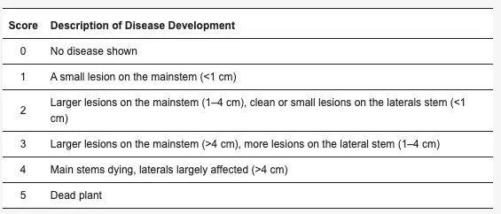 The rating scale used for stem rot disease assessment of individual plants in the field