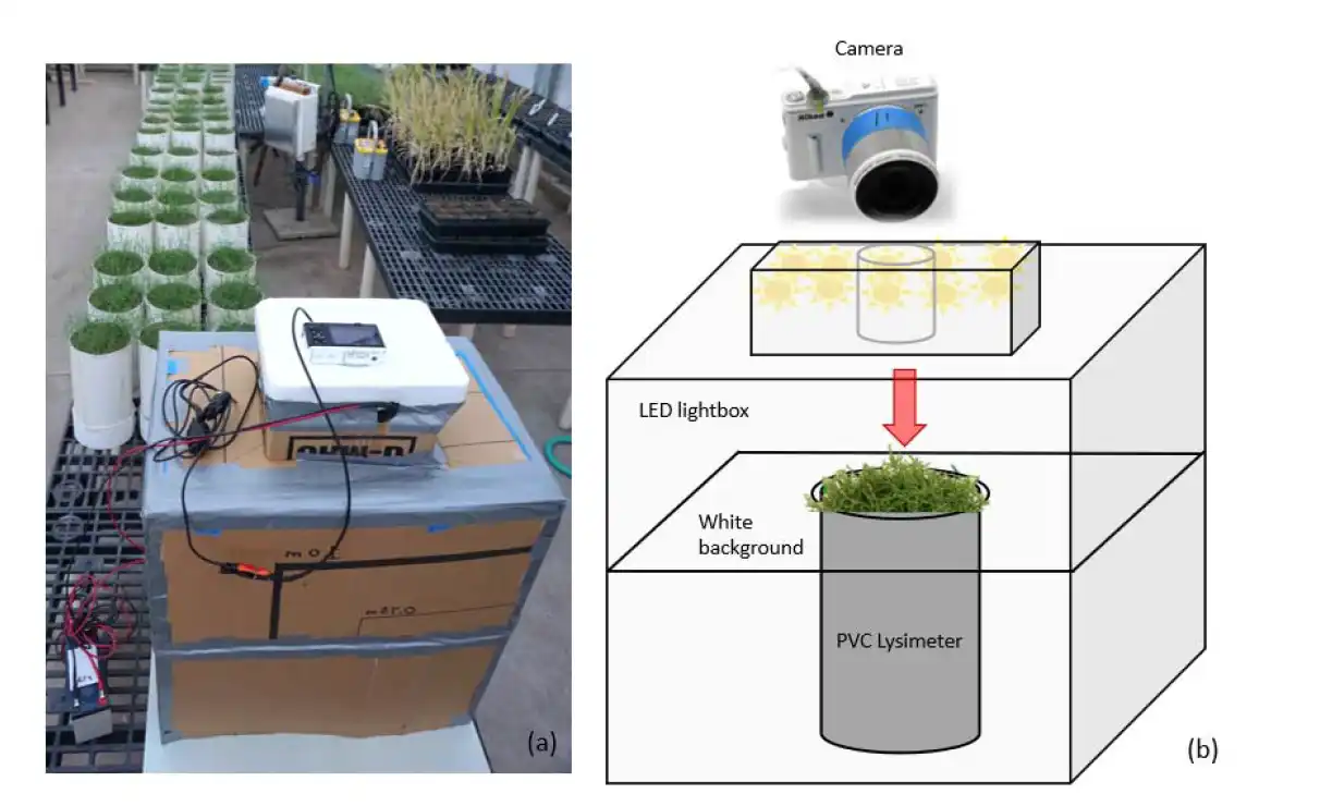 The lightbox is shown in greenhouse #1 (panel a, left side) with the camera installed on top. Source: Conley et al., 2024