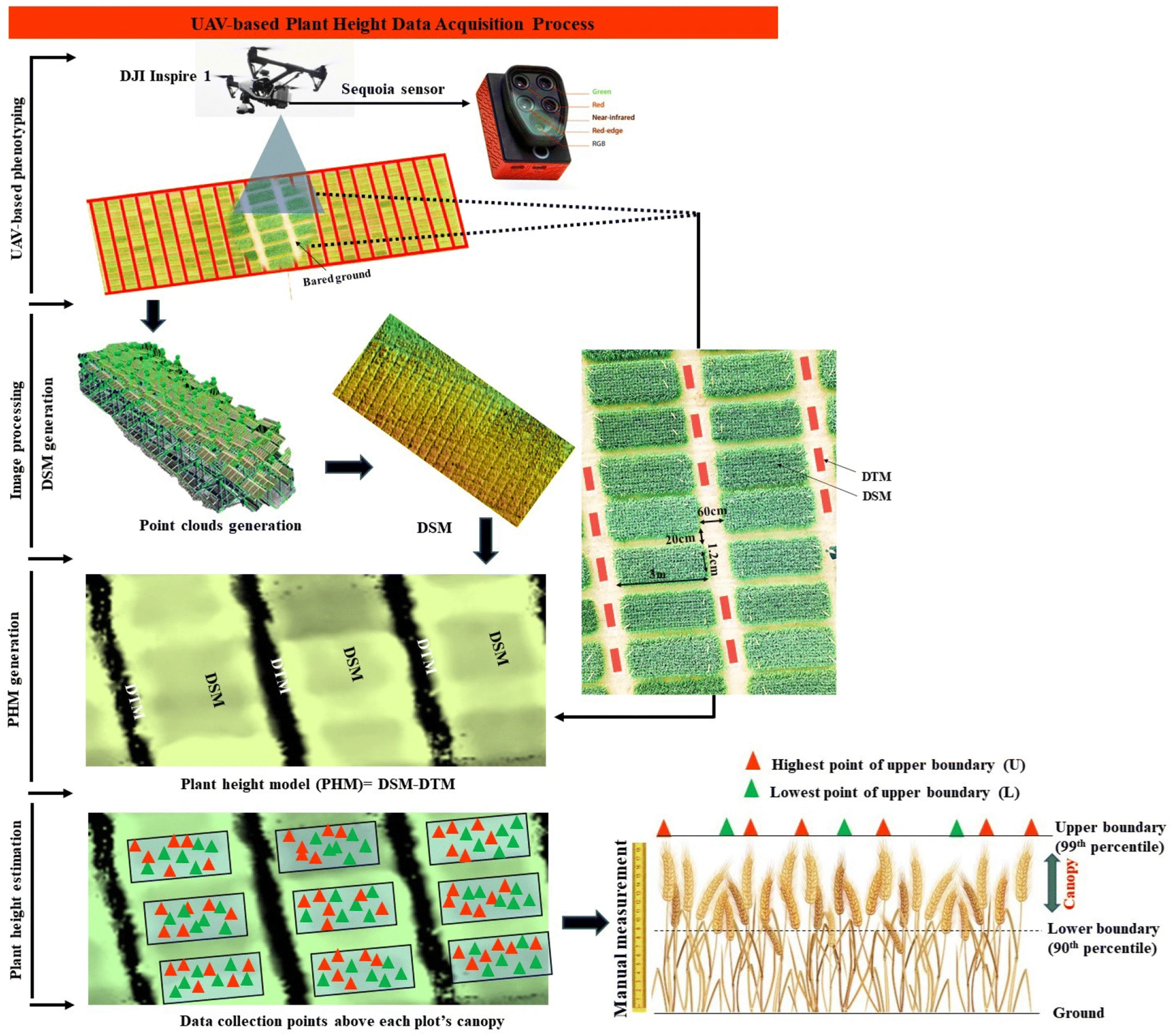 Phenotyping pipeline for estimation of plant height using UAV platform. DTM digital terrain model, DSM digital height model, PSM plant surface model, UAV unmanned aerial vehicle